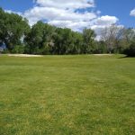 green grass with the flag in the hole.