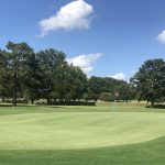 green grass with the flag in the hole.