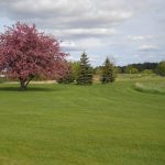 Panoramic view of a lush green golf course at Pine City Country Club. Smooth