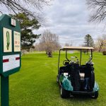 green grass with the flag in the hole.