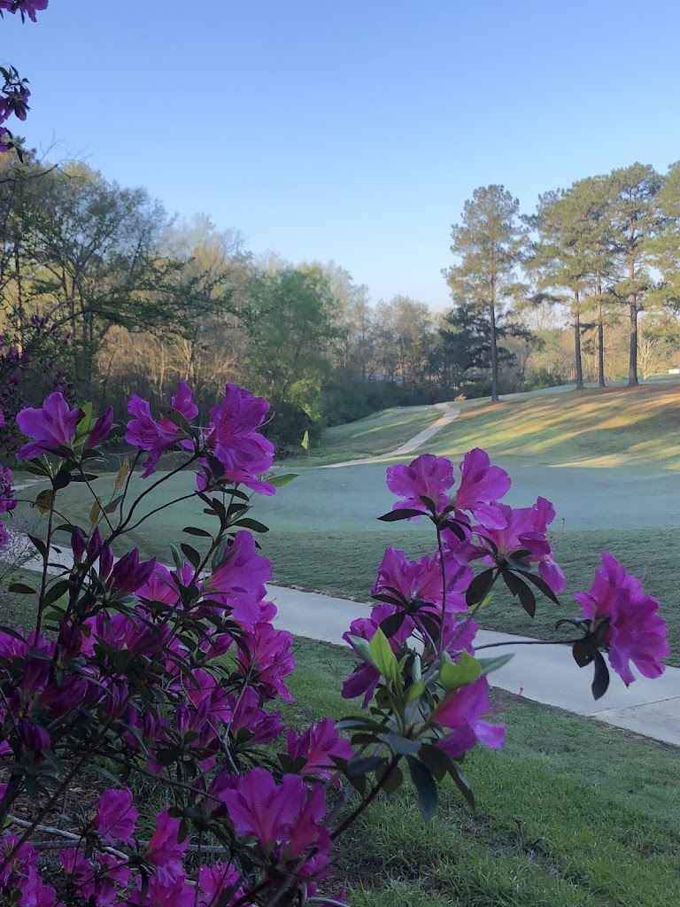 Panoramic view of a lush green golf course at Pine Creek Golf Club. Smooth