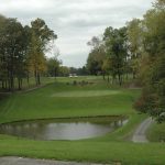 green grass with the flag in the hole.