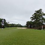 green grass with the flag in the hole.