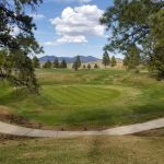 green grass with the flag in the hole.