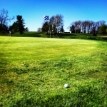 green grass with the flag in the hole.