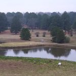 Panoramic view of a lush green golf course at Pine Valley Golf Course. Smooth