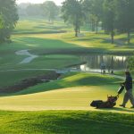 green grass with the flag in the hole.