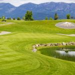 green grass with the flag in the hole.