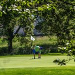 green grass with the flag in the hole.