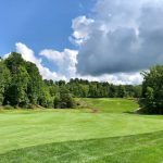 green grass with the flag in the hole.