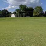 green grass with the flag in the hole.