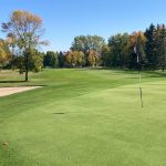 green grass with the flag in the hole.