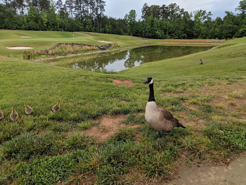 Panoramic view of a lush green golf course at Red Bridge Golf Club. Smooth