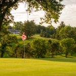 green grass with the flag in the hole.