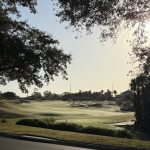 green grass with the flag in the hole.