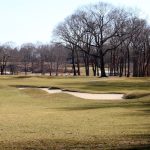 green grass with the flag in the hole.