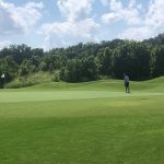 green grass with the flag in the hole.