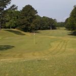 green grass with the flag in the hole.