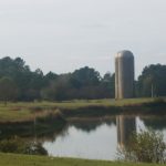 Panoramic view of a lush green golf course at River Birch Golf Club. Smooth