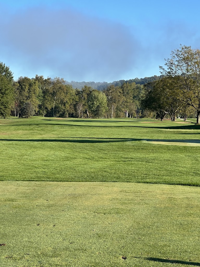 Panoramic view of a lush green golf course at River Greens Golf Course. Smooth