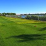 green grass with the flag in the hole.