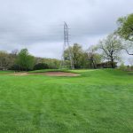 green grass with the flag in the hole.