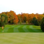 green grass with the flag in the hole.