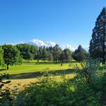 Panoramic view of a lush green golf course at Rose City Golf Course. Smooth