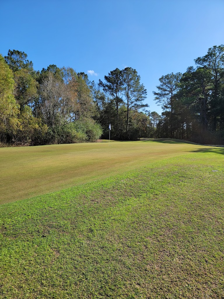 Panoramic view of a lush green golf course at Royal Golf Club. Smooth