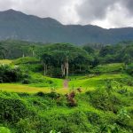 Panoramic view of a lush green golf course at Royal Hawaiian Golf Club. Smooth