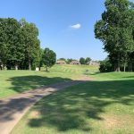 green grass with the flag in the hole.