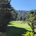 green grass with the flag in the hole.