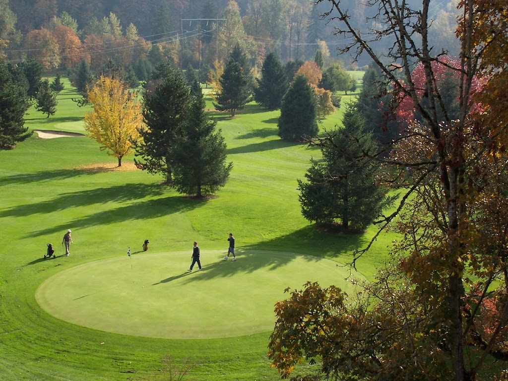 Panoramic view of a lush green golf course at Sah-Hah-Lee Golf Course. Smooth