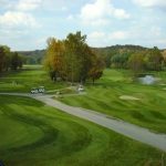 green grass with the flag in the hole.