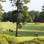 green grass with the flag in the hole.