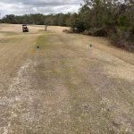 green grass with the flag in the hole.