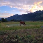 Panoramic view of a lush green golf course at Shooting Star Jackson Hole Golf Club. Smooth