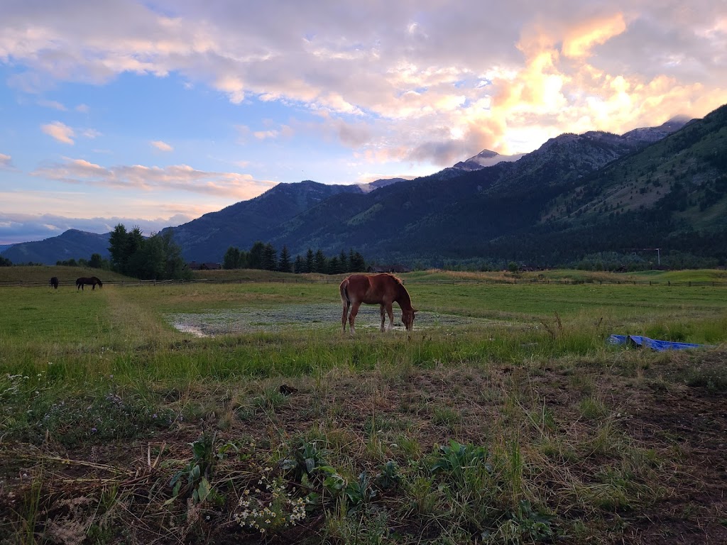 Panoramic view of a lush green golf course at Shooting Star Jackson Hole Golf Club. Smooth