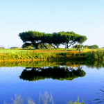 Panoramic view of a lush green golf course at Shoreline Golf Links. Smooth