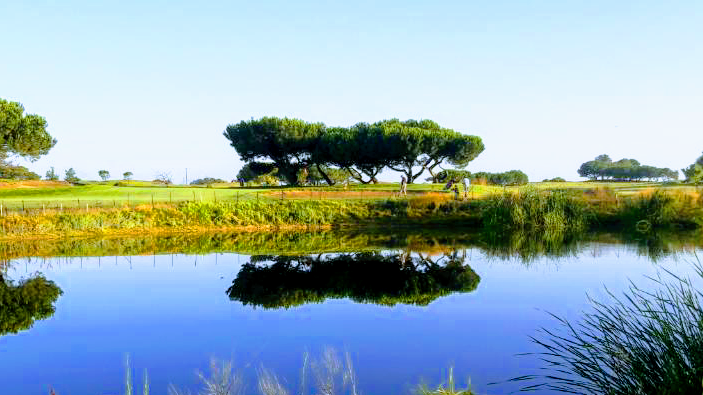 Panoramic view of a lush green golf course at Shoreline Golf Links. Smooth