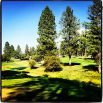 Panoramic view of a lush green golf course at Silver Fox Golf Course. Smooth