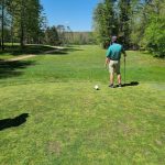 green grass with the flag in the hole.