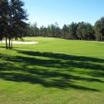 green grass with the flag in the hole.