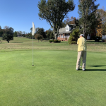 green grass with the flag in the hole.