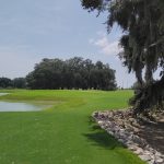 green grass with the flag in the hole.