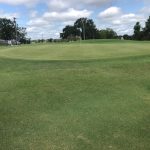 green grass with the flag in the hole.