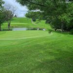 green grass with the flag in the hole.