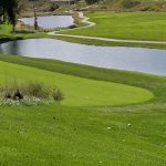 green grass with the flag in the hole.