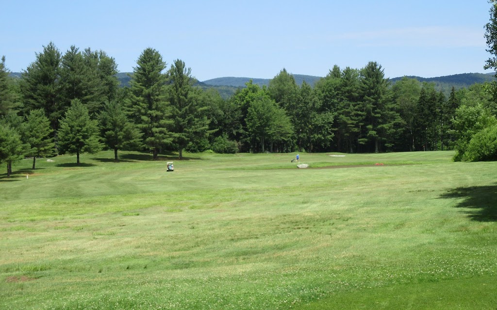 Panoramic view of a lush green golf course at Stamford Valley Golf Course. Smooth