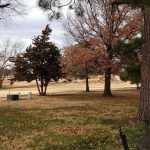 green grass with the flag in the hole.